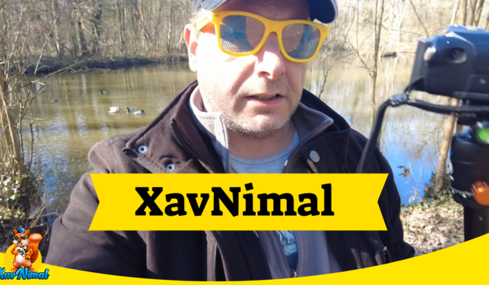 xavnimal