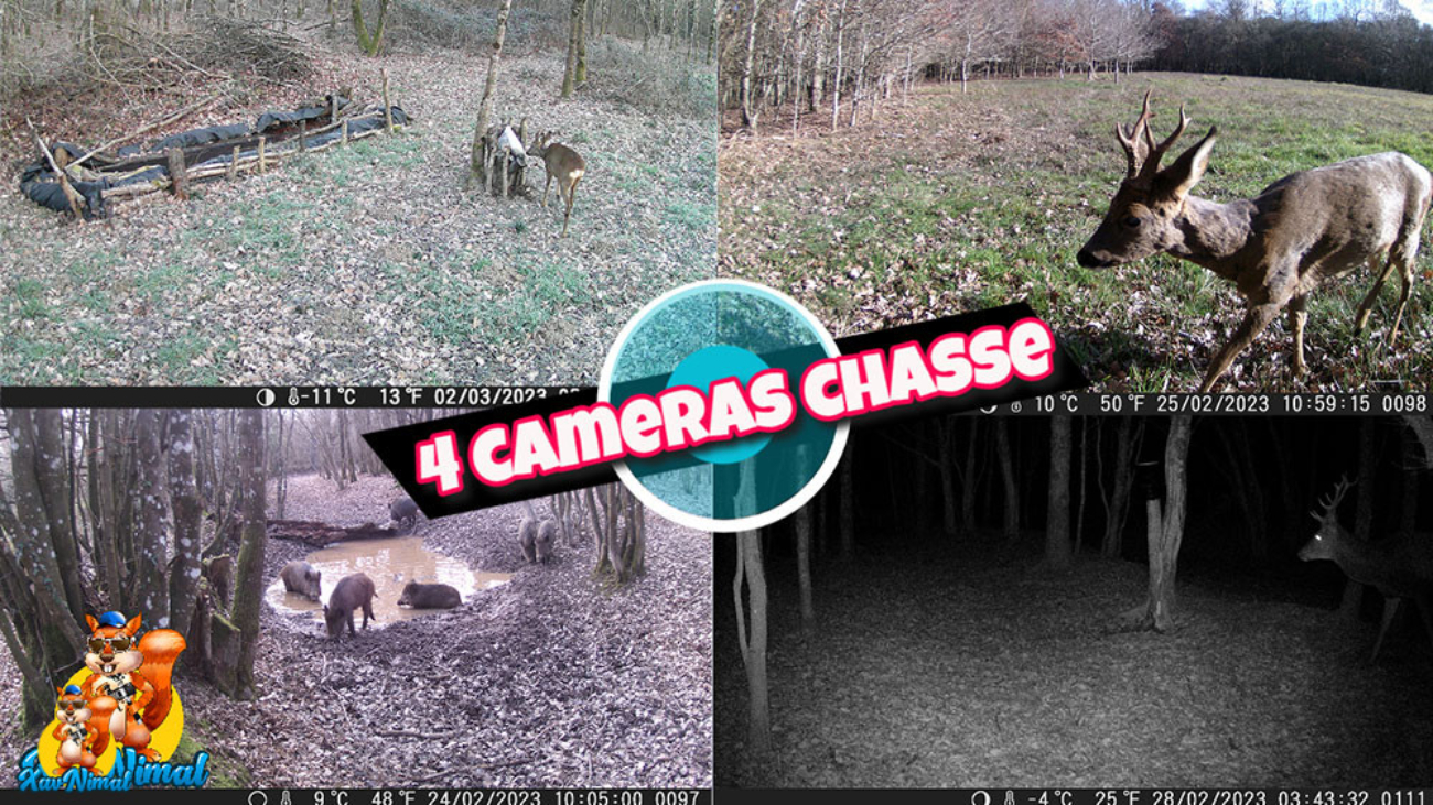 vidéo caméra chasse