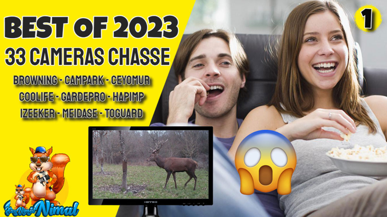 Best of caméra chasse 2023