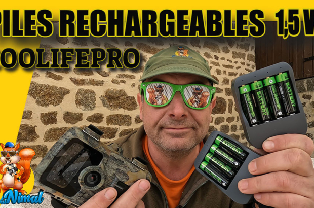 piles rechargeable 1,5V COOLIFEPRO
